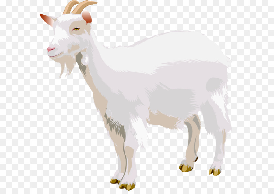 Goat Cartoon png download - 640*629 - Free Transparent Goat png Download. -  CleanPNG / KissPNG