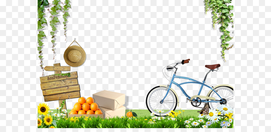Xe đạp trên cỏ