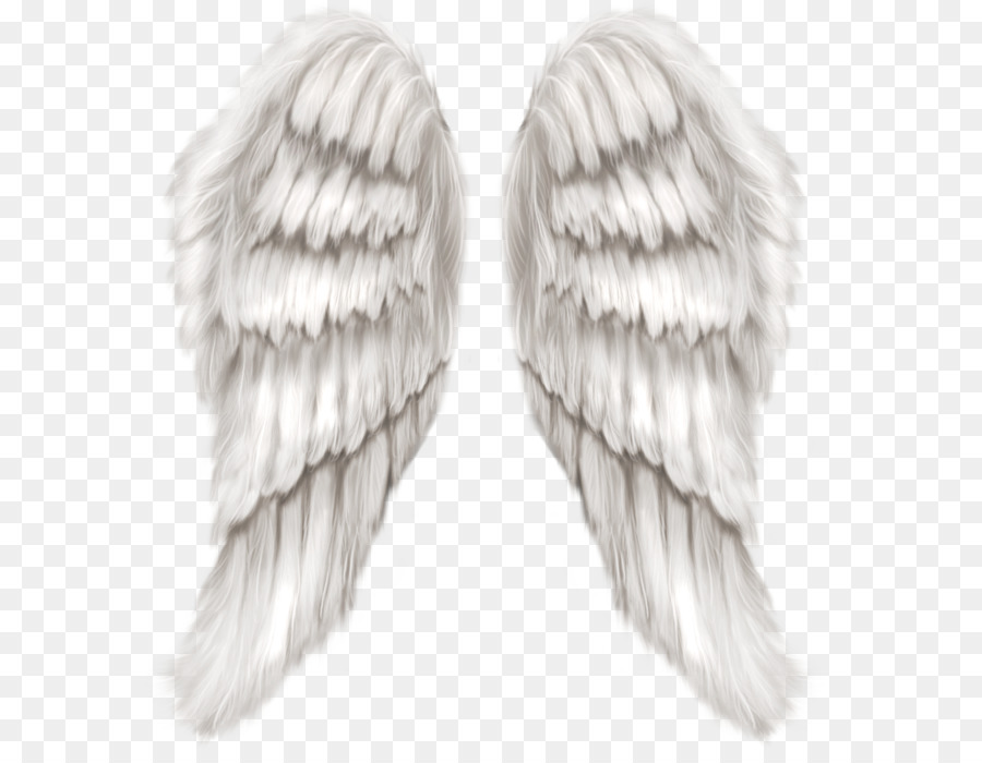 Cherub Engel Flügel - Weiße Engelsflügel, Transparent PNG-clipart-Bild