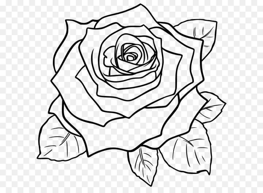 Hình ảnh hoa hồng vẽ bằng bút chì cực đẹp  Ảnh đẹp hoa hồng