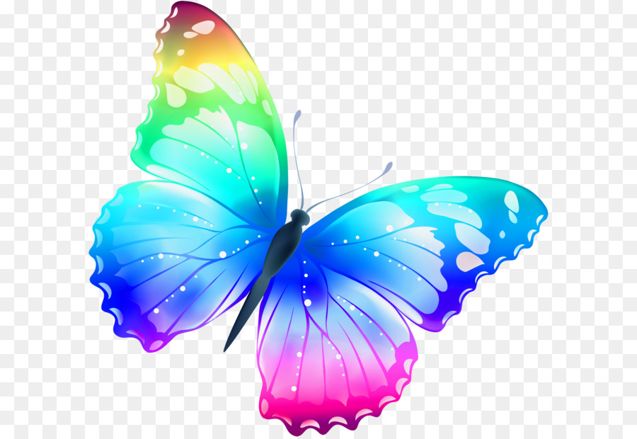 Butterfly Color Clip art - Schmetterling clip art