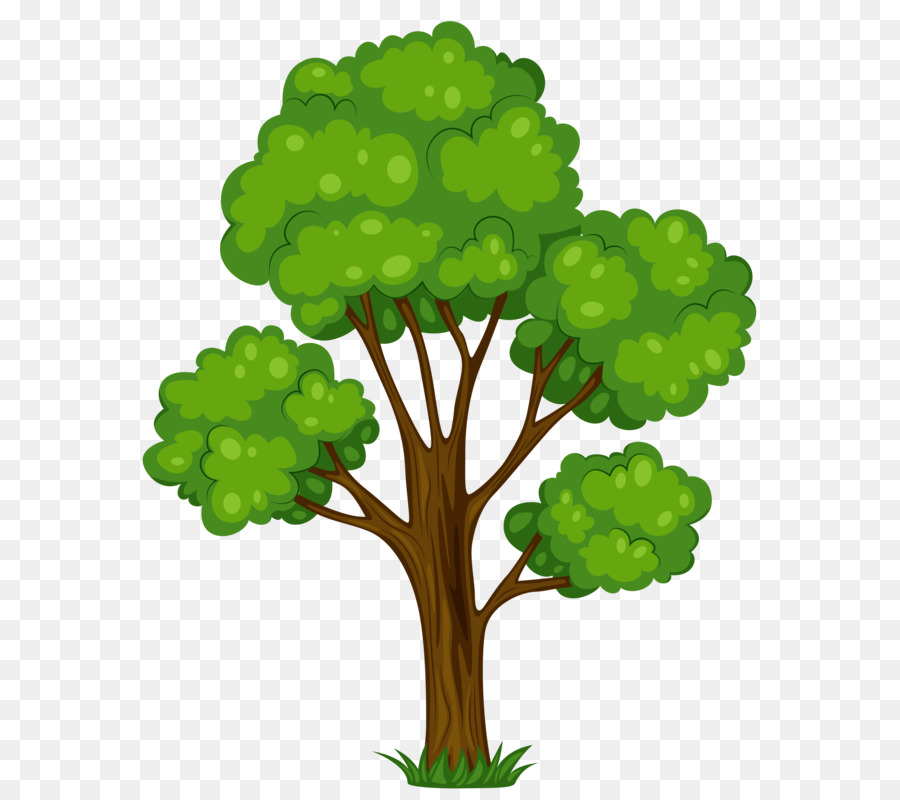 Baum Cartoon Clip art - Tree Clip Art