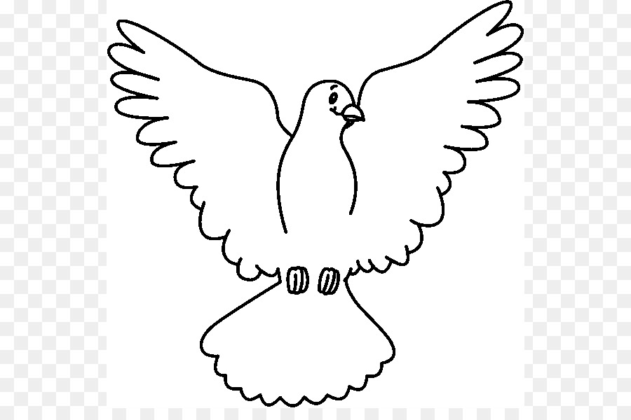 Columbidae-Weiß Clip art - Taube Cliparts