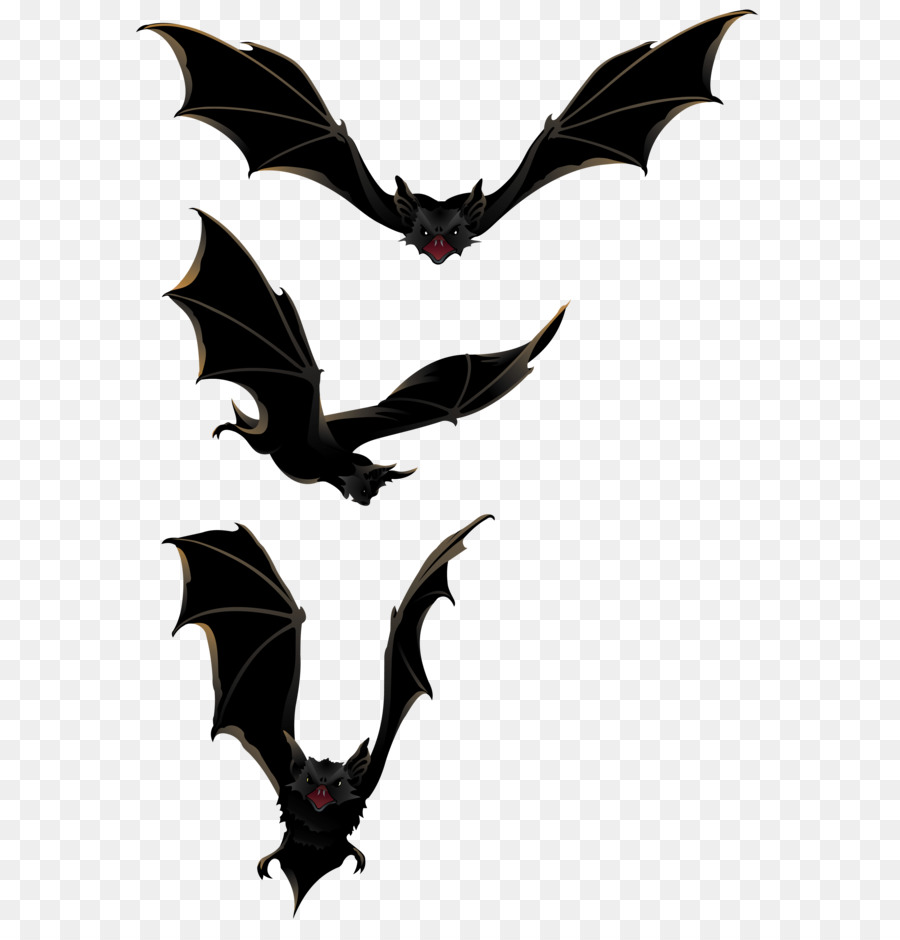 Halloween Bat Clip art - Halloween Immagini Pipistrelli