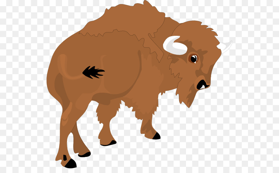 Người mỹ bison Bison bonasus Clip nghệ thuật - phim hoạt hình bò rừng.