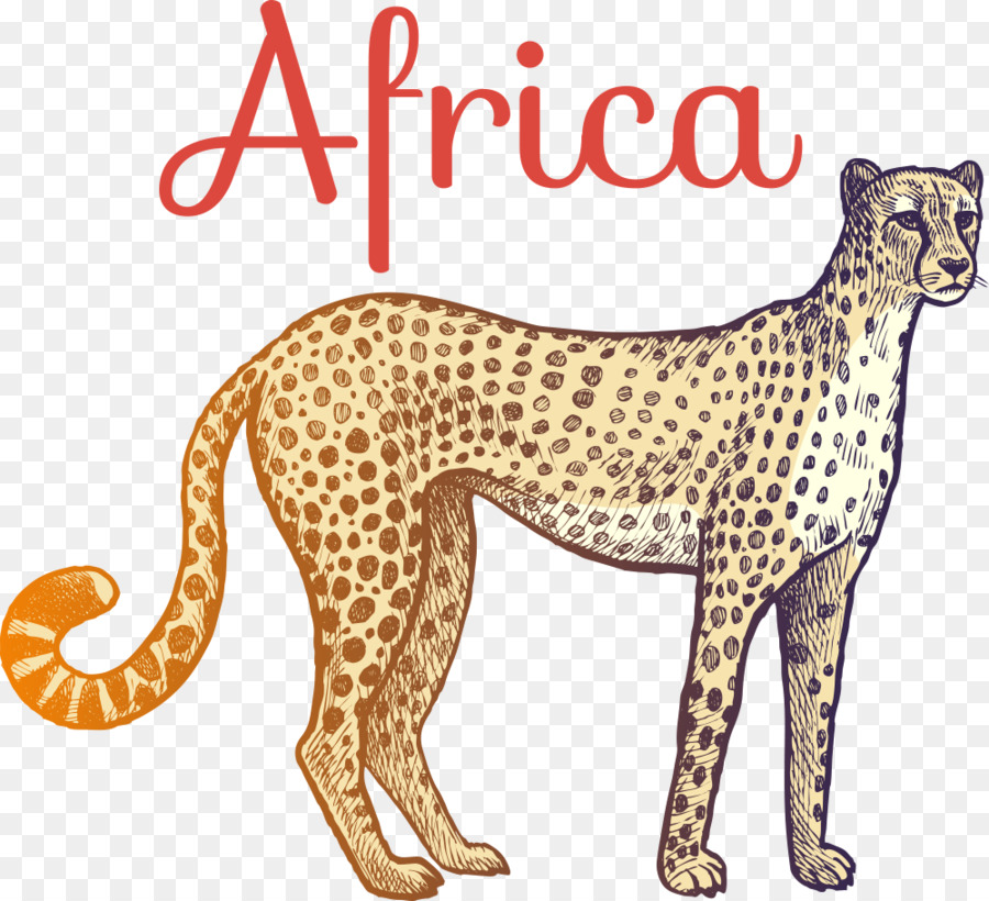 Cheetah Giraffa cinghiale - Vector cartoon ghepardo
