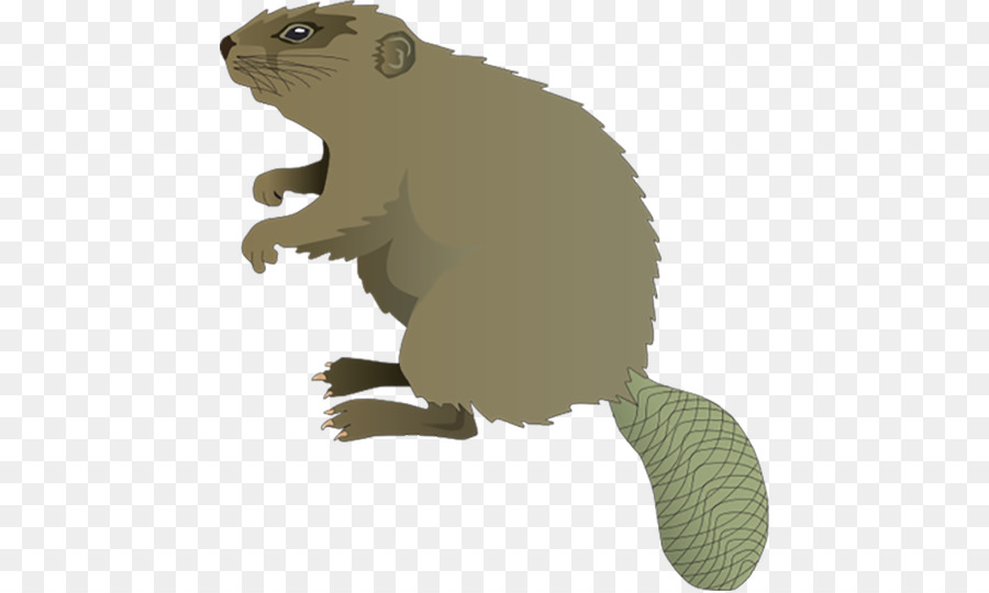 Beaver Cartoon