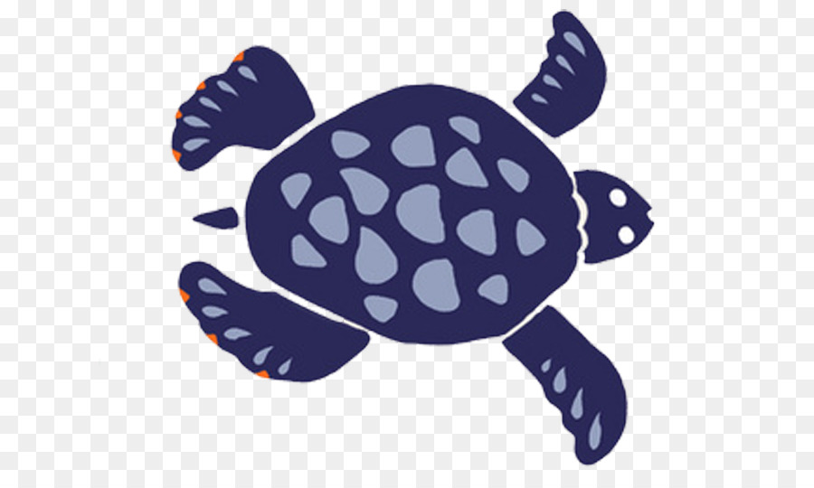 Rùa biển Hoạ - Màu Tím Rùa