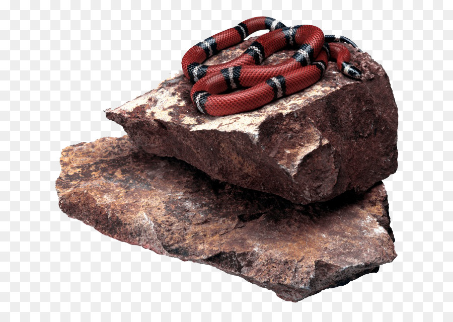 Giftige Schlange, die Krokodile Pit viper - Schlange auf einem Felsen