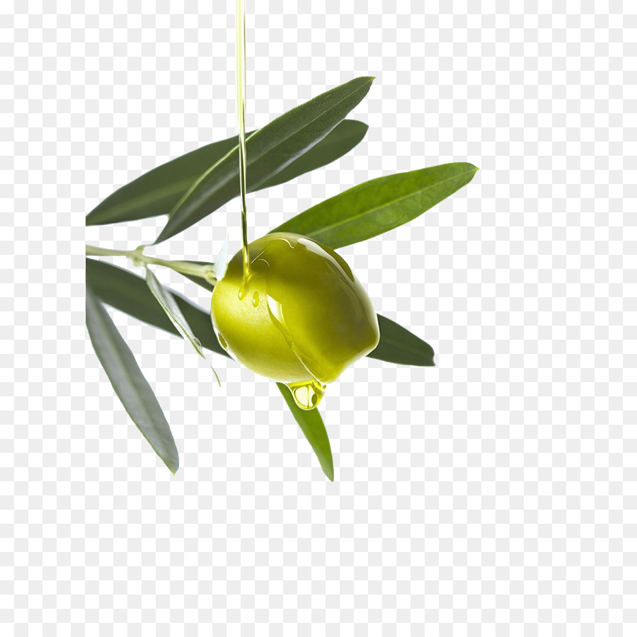 Olivenöl Computer-Datei - Olivenöl