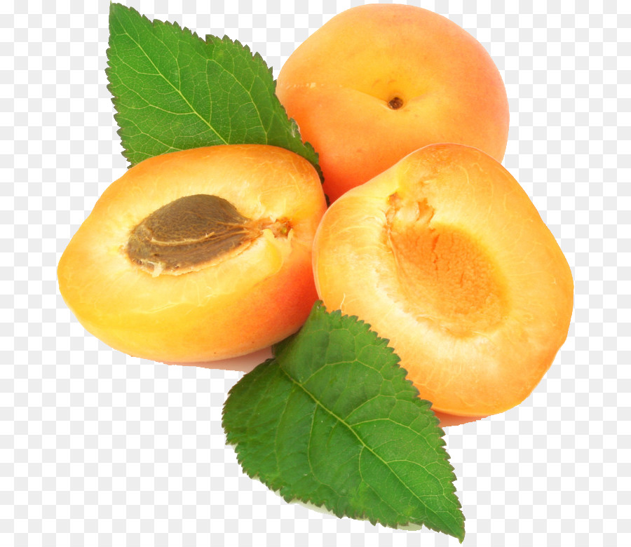 Aprikose Apricot kernel öl Obst - Aprikose