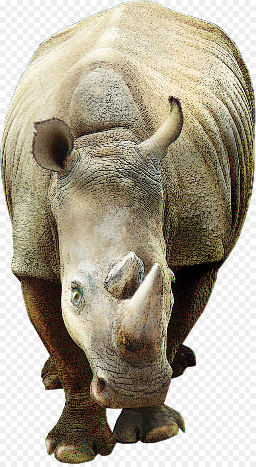 Rhinoceros 3D-Poster - Rhino Creative