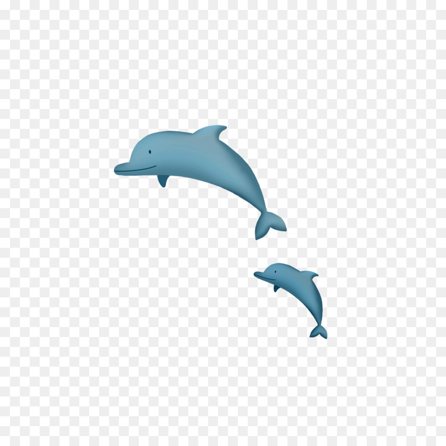 Common bottlenose dolphin Porpoise Tucuxi - Cartoon-Wal