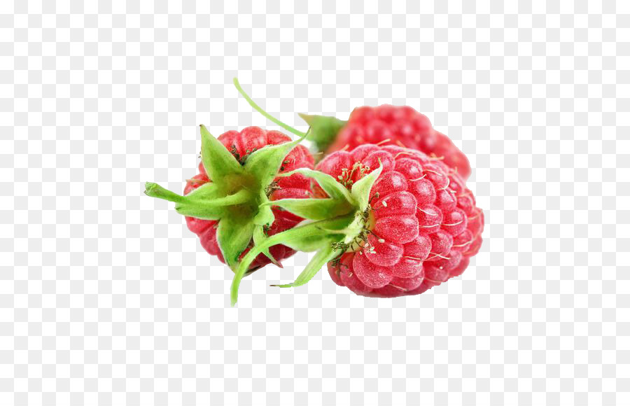 Rote Himbeere Frucht-Extrakt Jostaberry - Himbeer-png-Bild-material