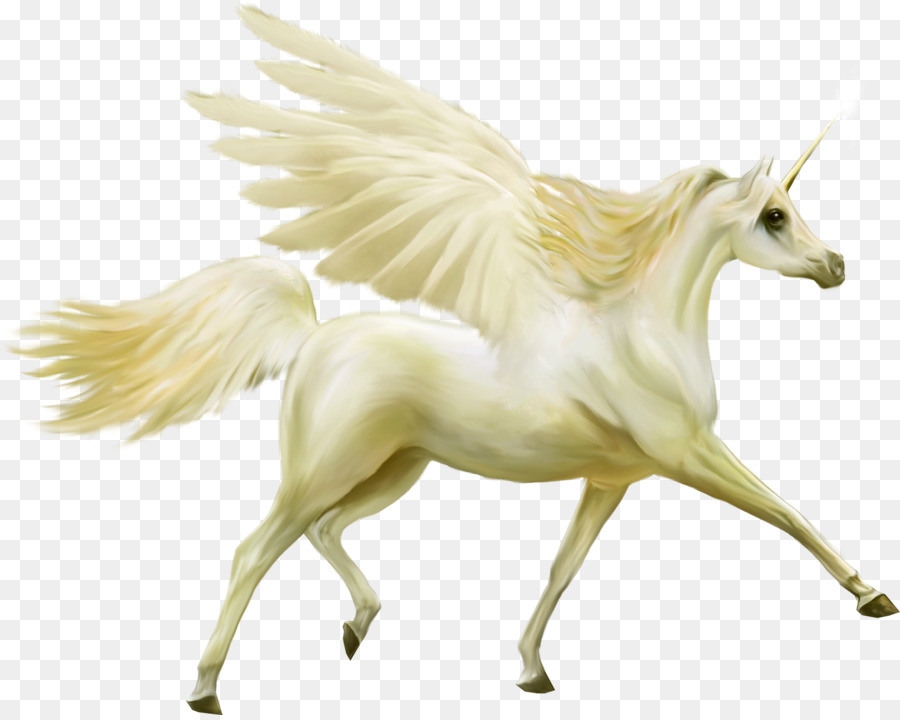 Einhorn Pegasus Pferd - Pegasus