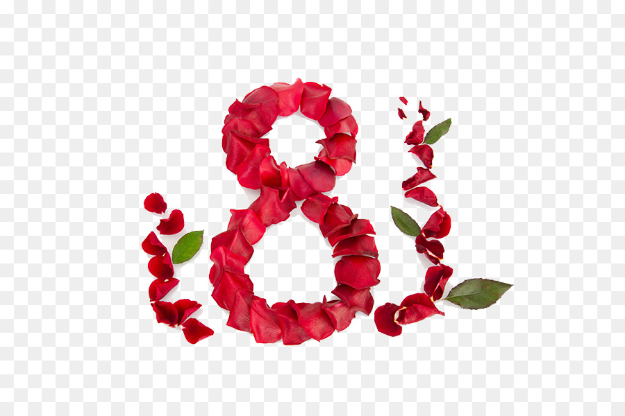 Regalo Giornata Internazionale della Donna bouquet di Fiori di Vacanza - Petali 8