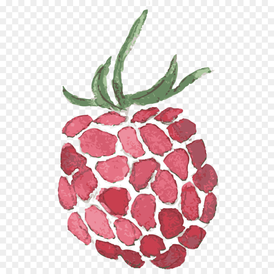 Frutti di bosco Strawberry Raspberry Fruit - lampone