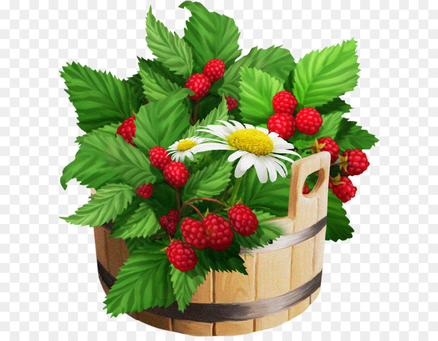 Strawberry beeren Raspberry Fruit - Hand-bemalt Himbeere