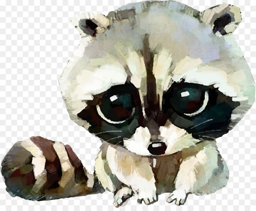 Watercolor Animal png download - 1219*988 - Free Transparent Raccoon png  Download. - CleanPNG / KissPNG