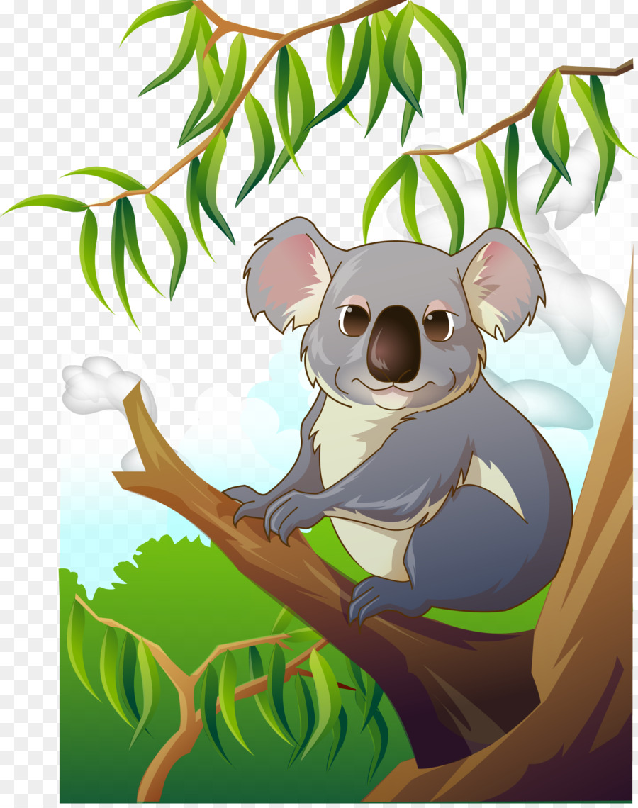 Koala Cartoon png download - 1694*2136 - Free Transparent Australia png  Download. - CleanPNG / KissPNG