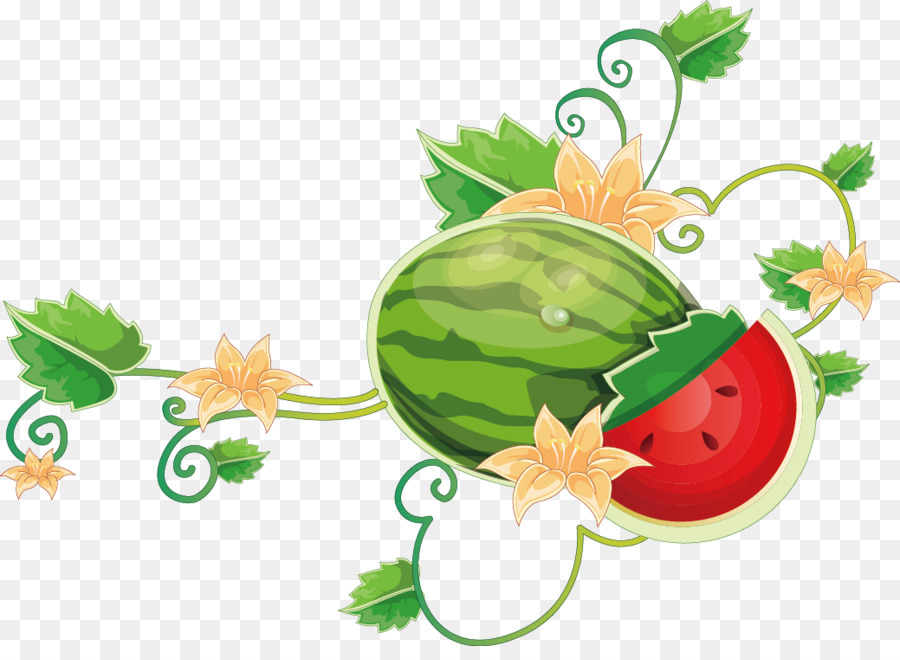 Weinrebe Wein Wassermelone - Cartoon Wassermelone weinstock