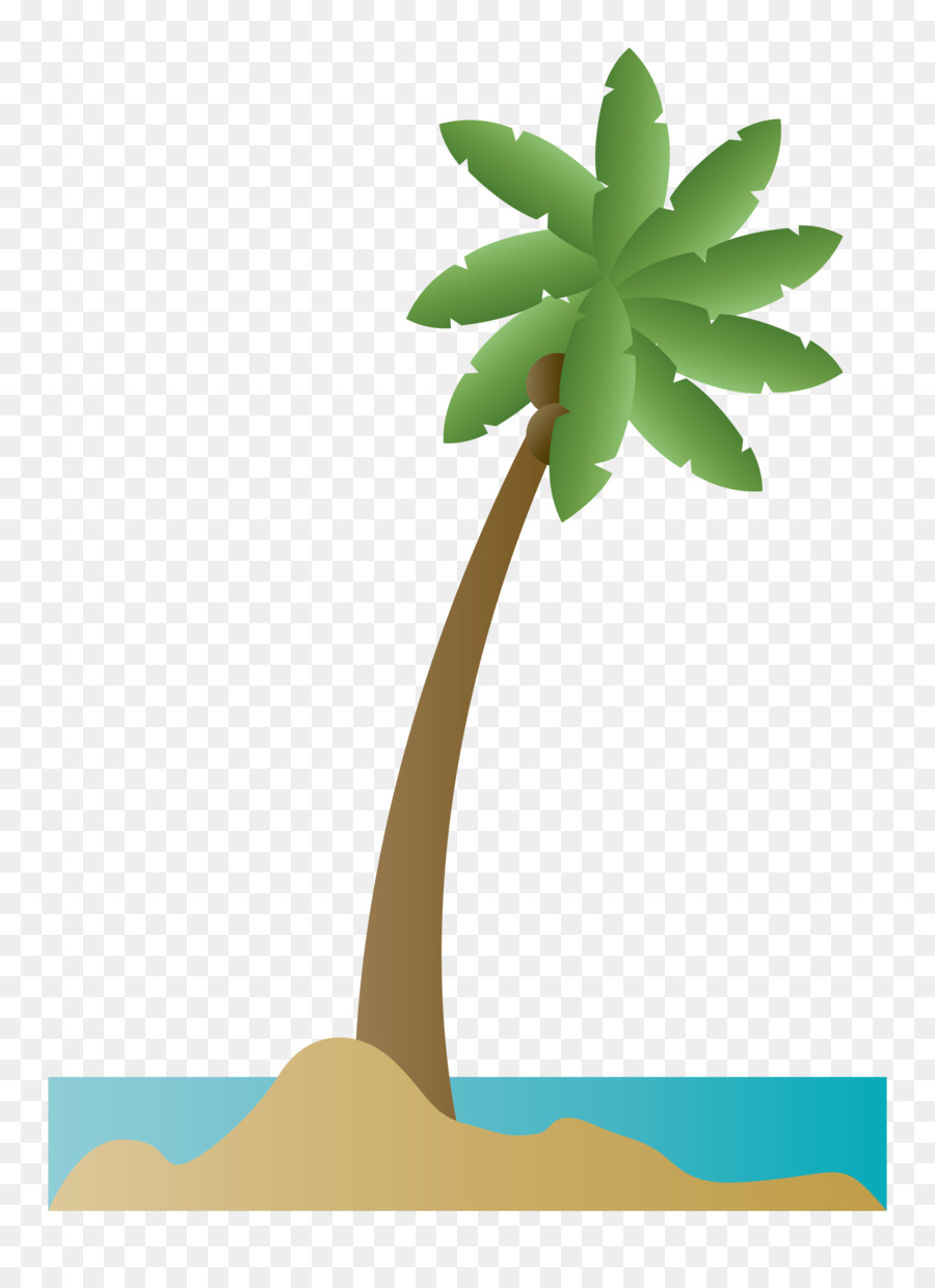 Paesi Bassi Chesil Beach Weymouth Lincombe Alloggio - albero di palma