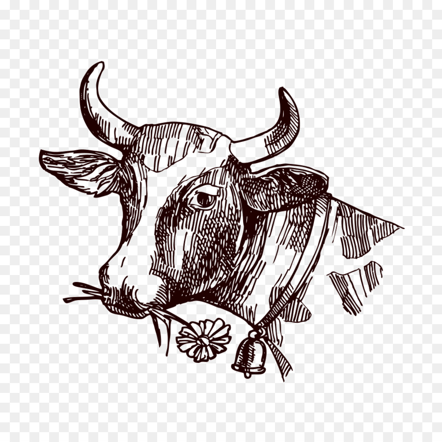 Texas Longhorn Latte Disegno Schizzo - Mucca creativa