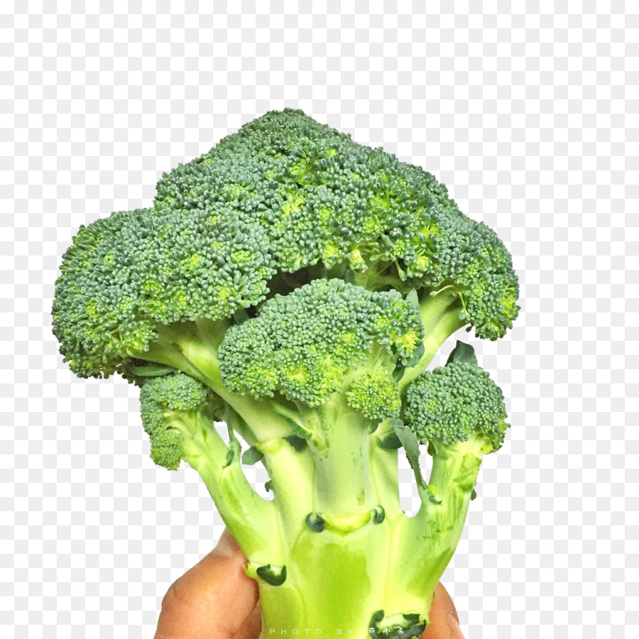 Brokkoli-Gemüse Blumenkohl-Symbol - Ein Brokkoli