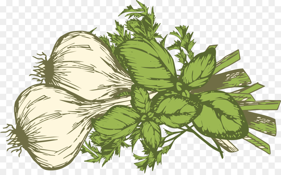 Sebastopol Gemüse, Knoblauch Und Grünen Zwiebeln - Grüne einfache Zwiebeln