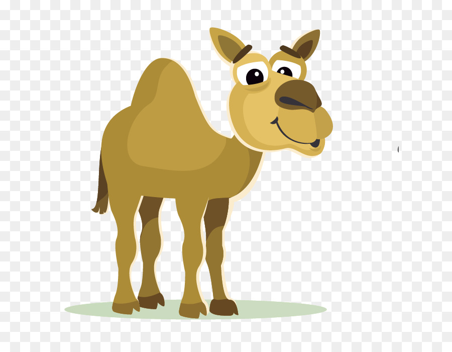 Baktrische Kamel-Cartoon-Clip-art - camel
