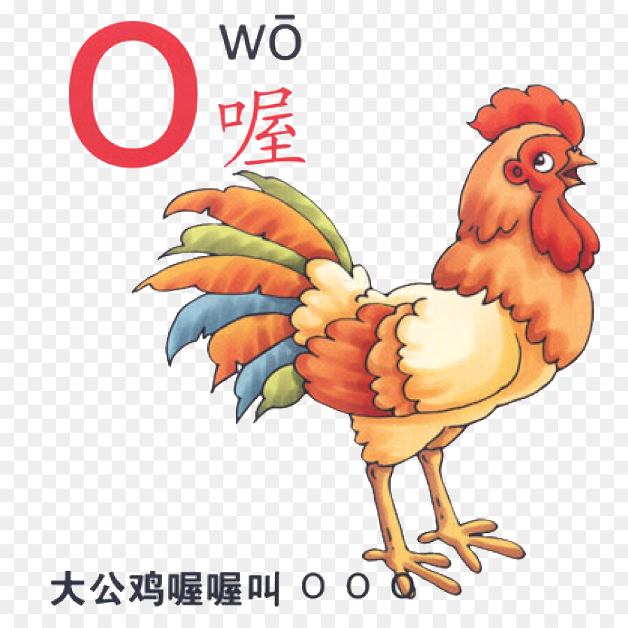 Gallo Pinyin Cartoon Illustrazione - Cinese alfabeto fonetico O