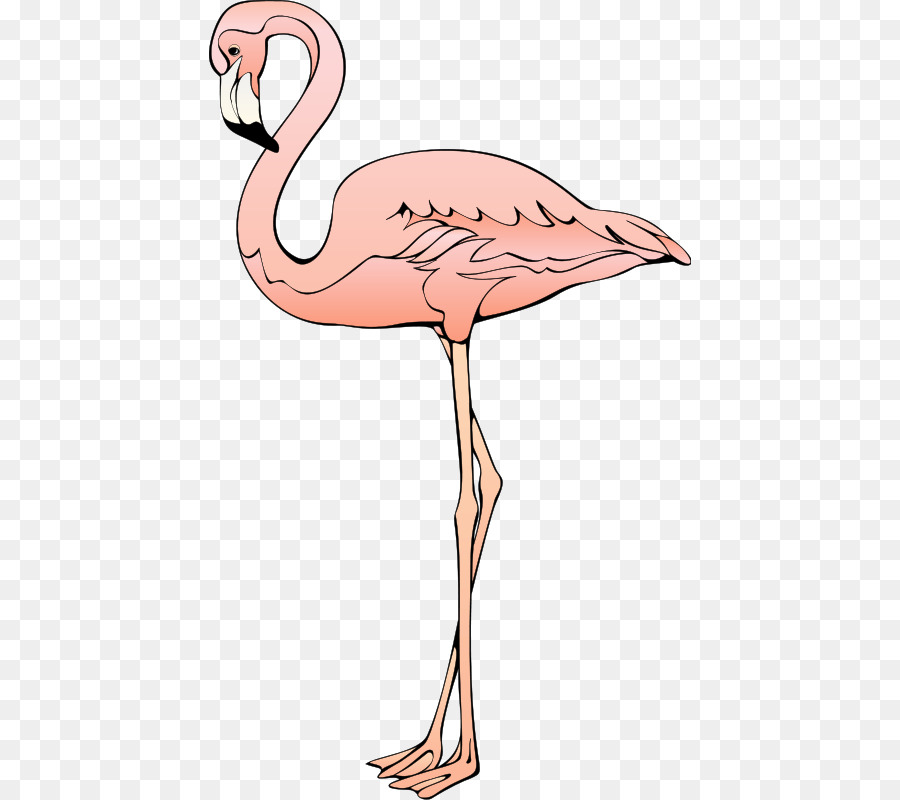 Plastica flamingo Blog Clip art - struzzo