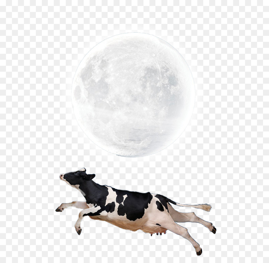 Luna fase Lunare carta da Parati - Mucca Volante Luna Creativo