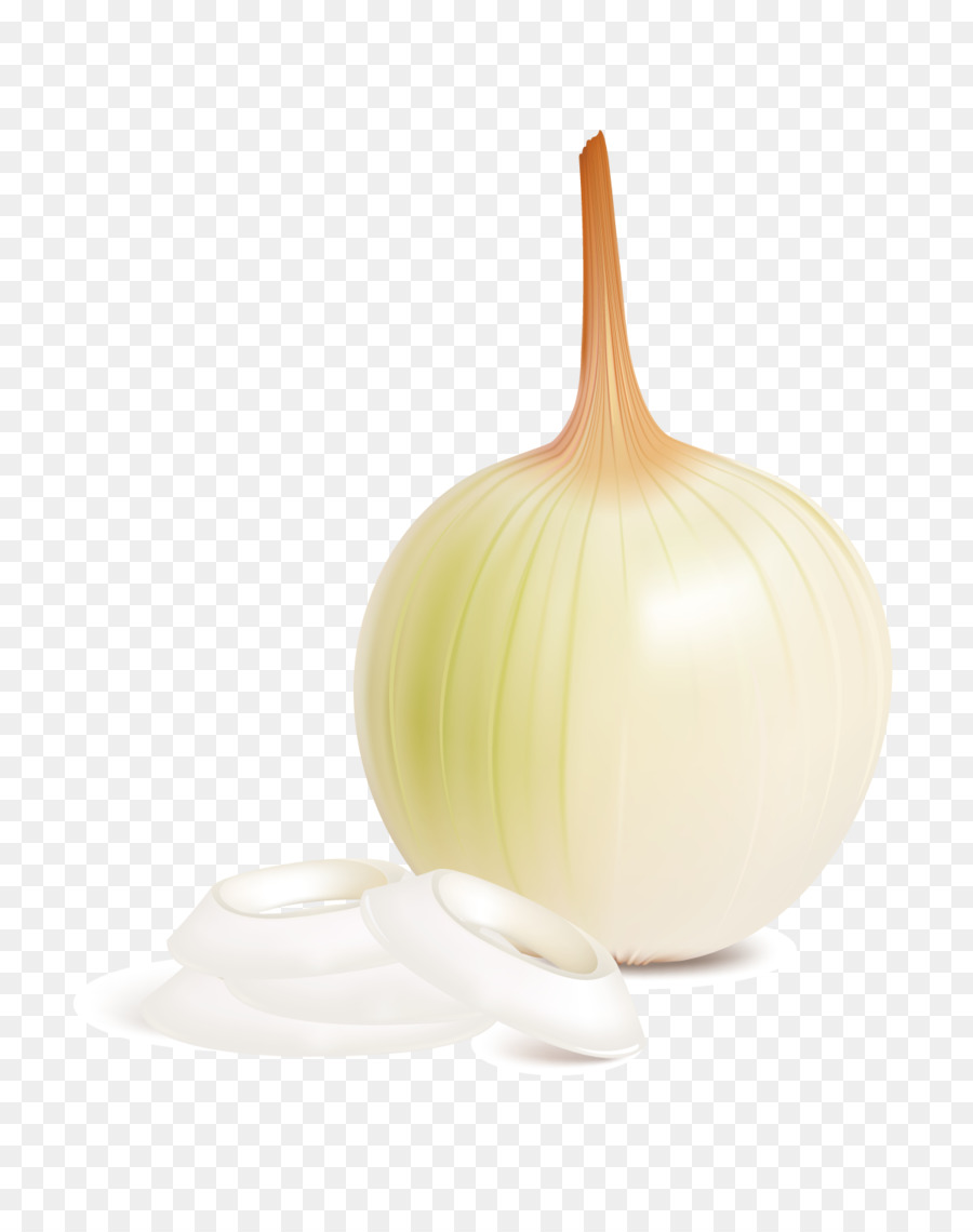 Onion Cartoon