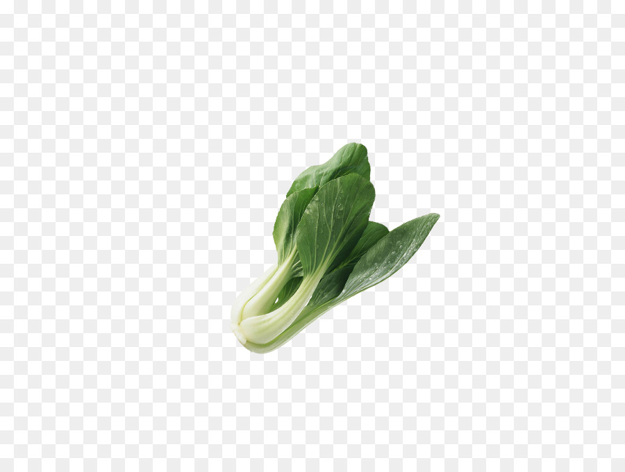 Gemüse Napa cabbage Obst - Kohl