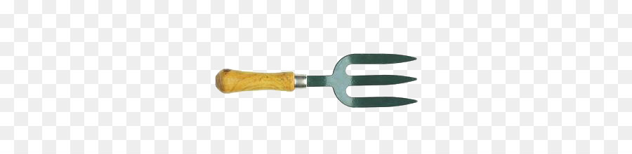 cái nĩa