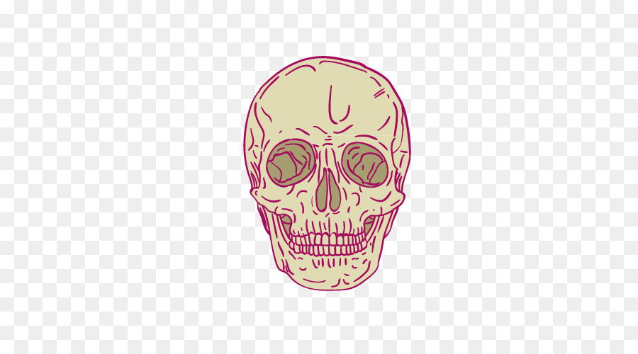 Scheletro Cranio Cartoon - vector cartoon scheletro