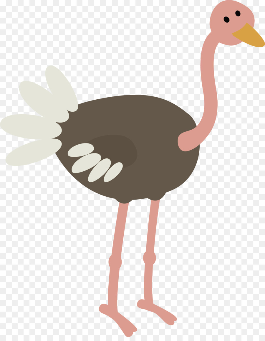 Common ostrich Vogel Tier Darstellung - Grau Vektor-Strauß
