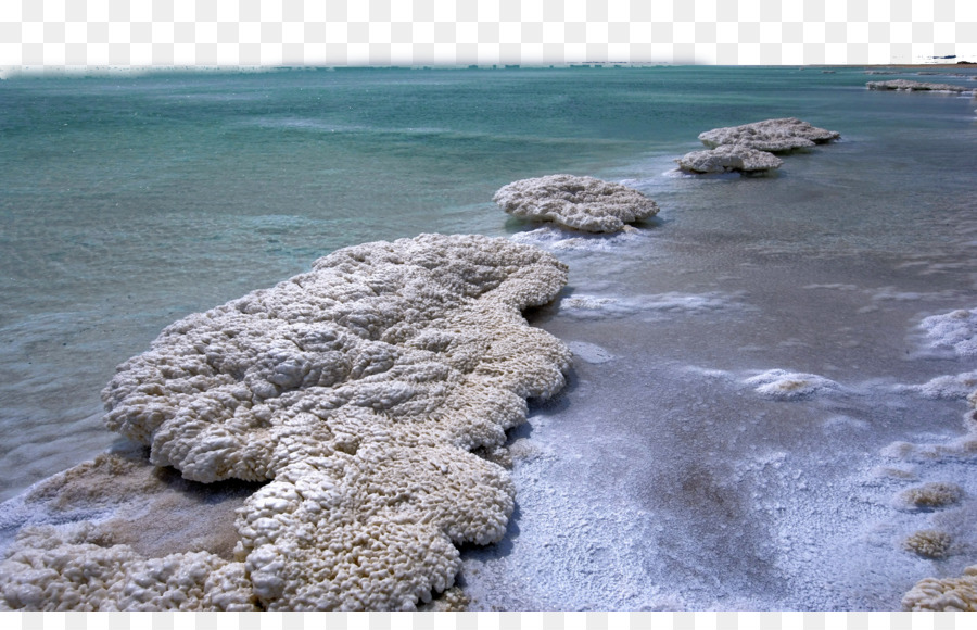 Mar morto Colomba Nido Parco Beidaihe Distretto di attrazione Turistica - Sale del Mar morto e quattro