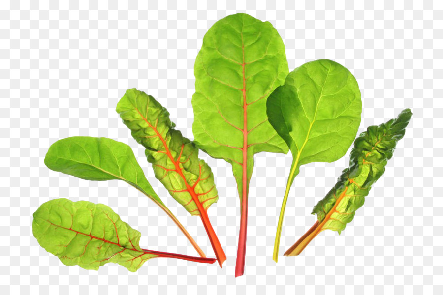Mangold Biotin Rote-Bete-Gemüse - Grüne Beete-Blätter