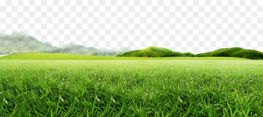 grass transparent background PNG image with transparent background png   Free PNG Images  Green grass background Grass background Simple  background images