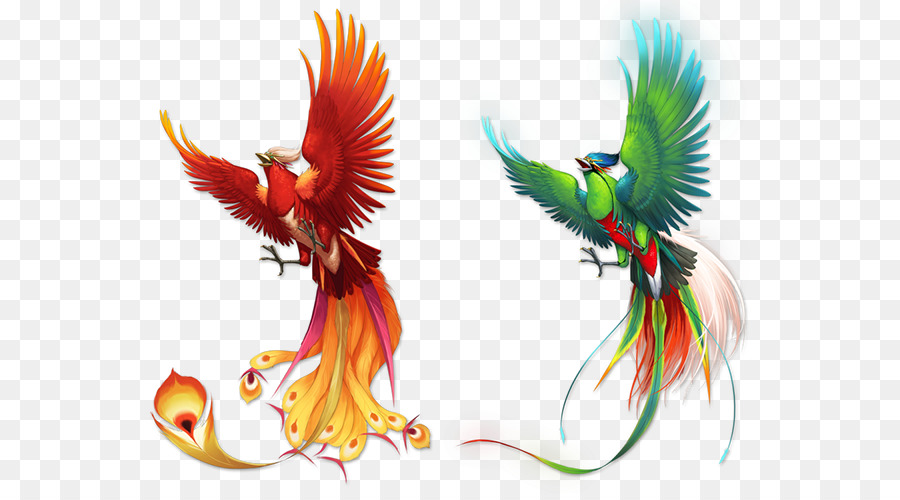 Vogel Phoenix Fenghuang - Phoenix Farbe Muster
