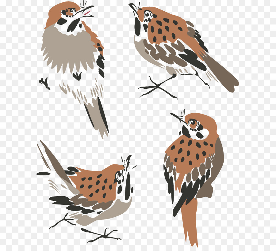 Uccello pittura Cinese - inchiostro passero