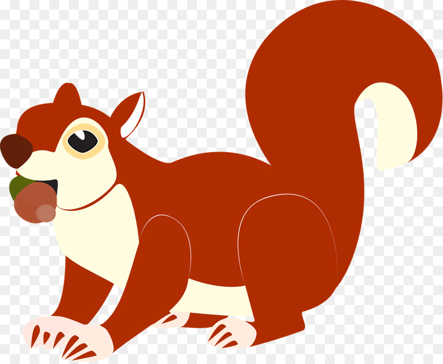 Scoiattolo rosso Albero scoiattoli Clip art - Simpatico scoiattolo