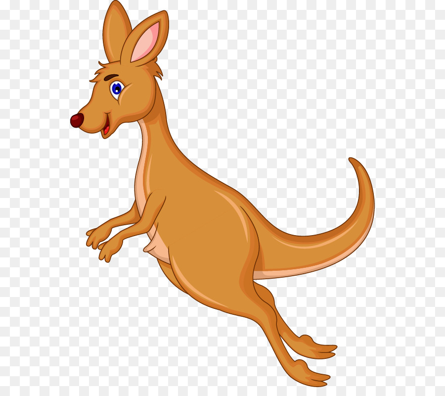 Kangaroo Cartoon png download - 616*782 - Free Transparent Kangaroo png  Download. - CleanPNG / KissPNG