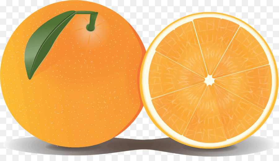 Grapefruit-Orangen-clipart - Orange PNG Clipart