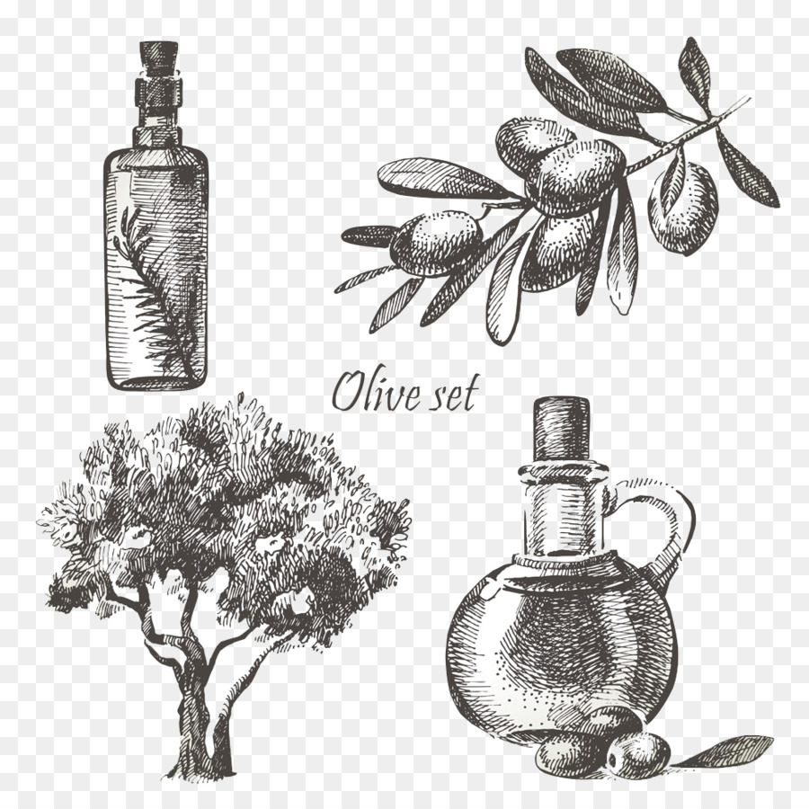 Olive oil Stock-Fotografie-Illustration - Hand-bemalt Olivenöl