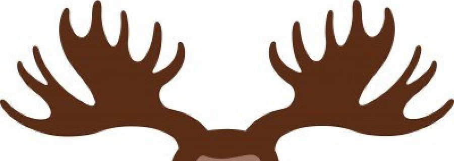 Moose Cervo, Alce Clip art - Antler Clipart