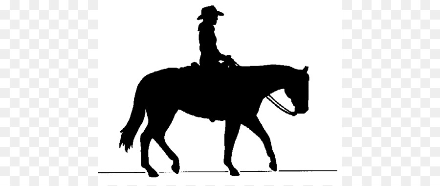 Dallas Cowboys a Cavallo Clip art - outlier clipart