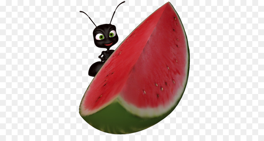 Wassermelone Clip art - Wassermelone Bild